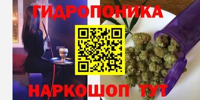 spice Бузулук